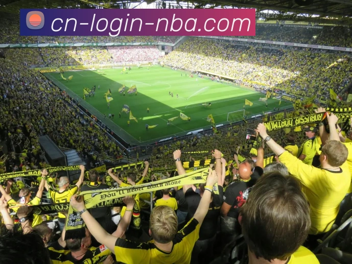 nba买球APP 封面图